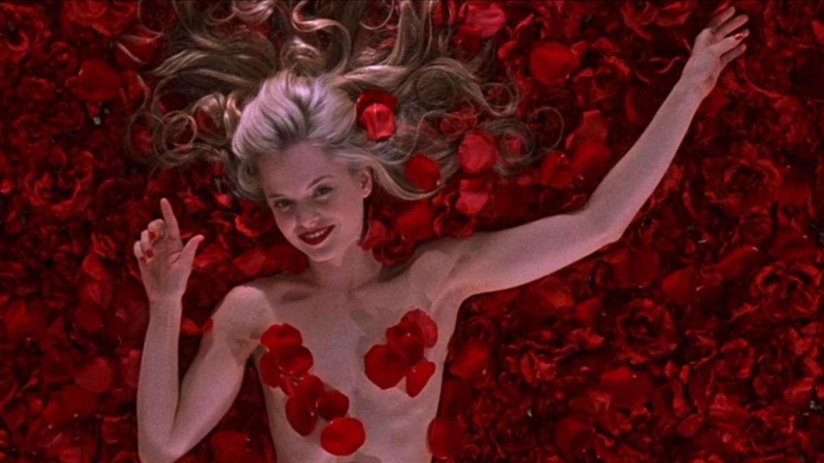 american beauty, plan culte