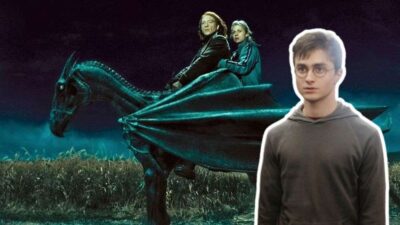 Harry Potter : pourquoi Harry ne voit pas les Sombrals plus tôt ?