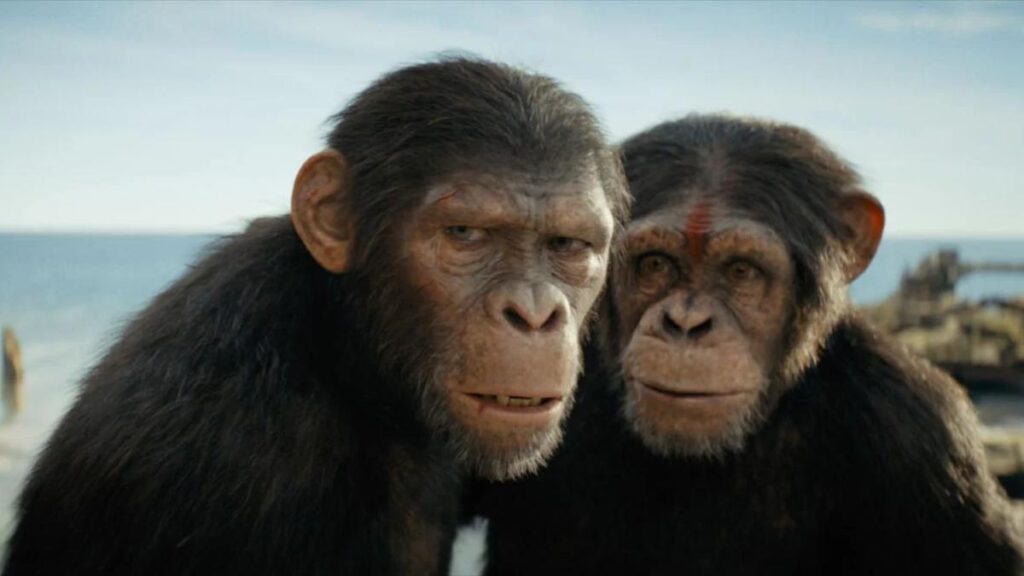Film La planète des singes : le nouveau royaume, affiche