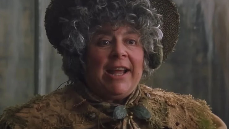 Harry Potter : "C'était il y a 25 ans, grandissez !", Miriam Margolyes (Chourave) critique à nouveau les fans de la saga