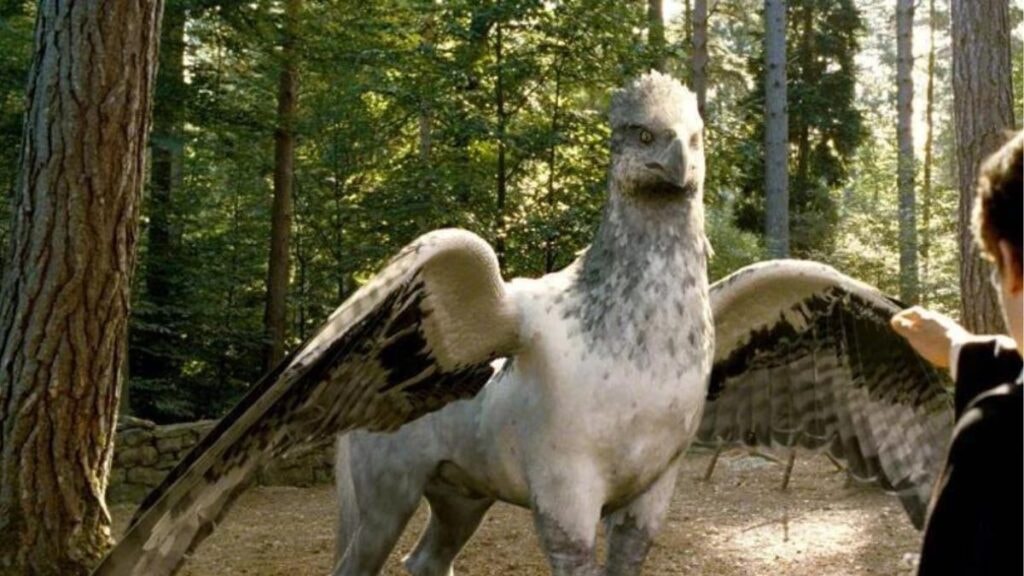 hippogriffe Harry Potter et le prisonnier d’Azkaban