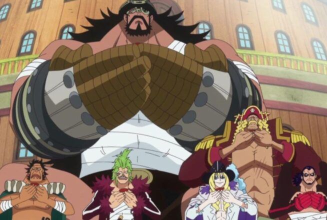 Quiz One Piece : élimine 5 pirates, on te dira quel équipage tu rejoins