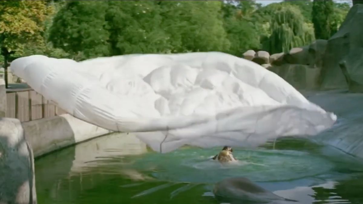 La Grande Vadrouille zoo Vincennes