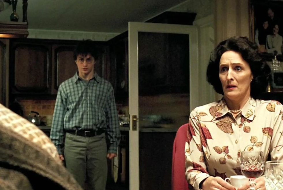 Harry Potter : pourquoi Petunia et Vernon détestent-ils Harry ?