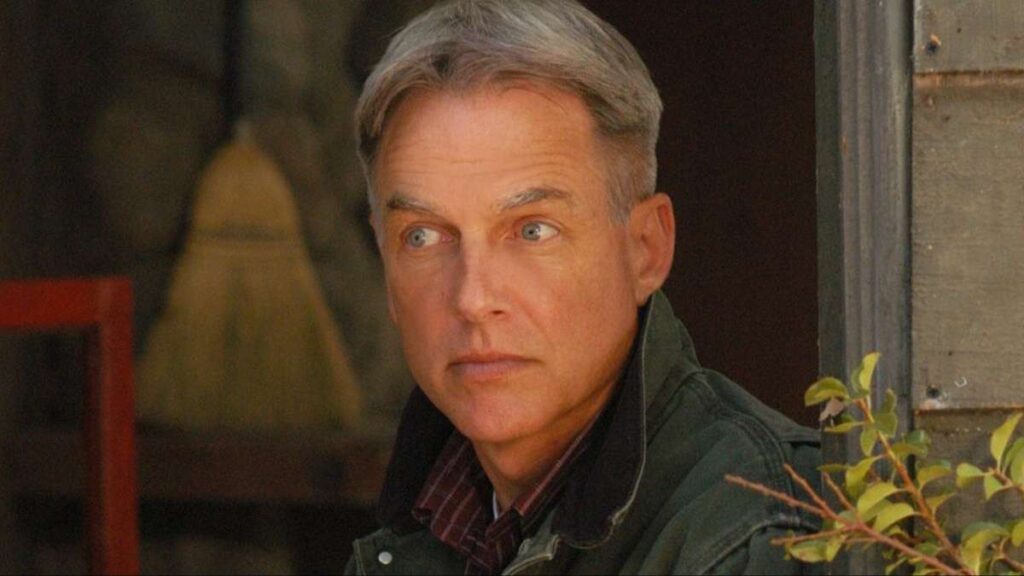 Gibbs dans la série NCIS