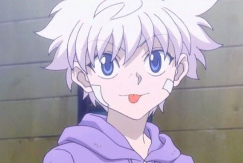 Hunter x Hunter : seul un Zoldik aura 5/5 à ce quiz sur Kirua