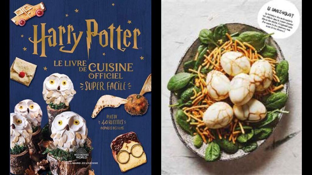 Livre de recettes Harry Potter facile