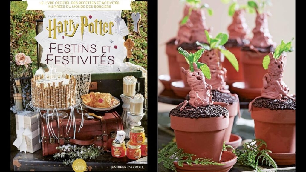 Livre de recettes Harry Potter festins