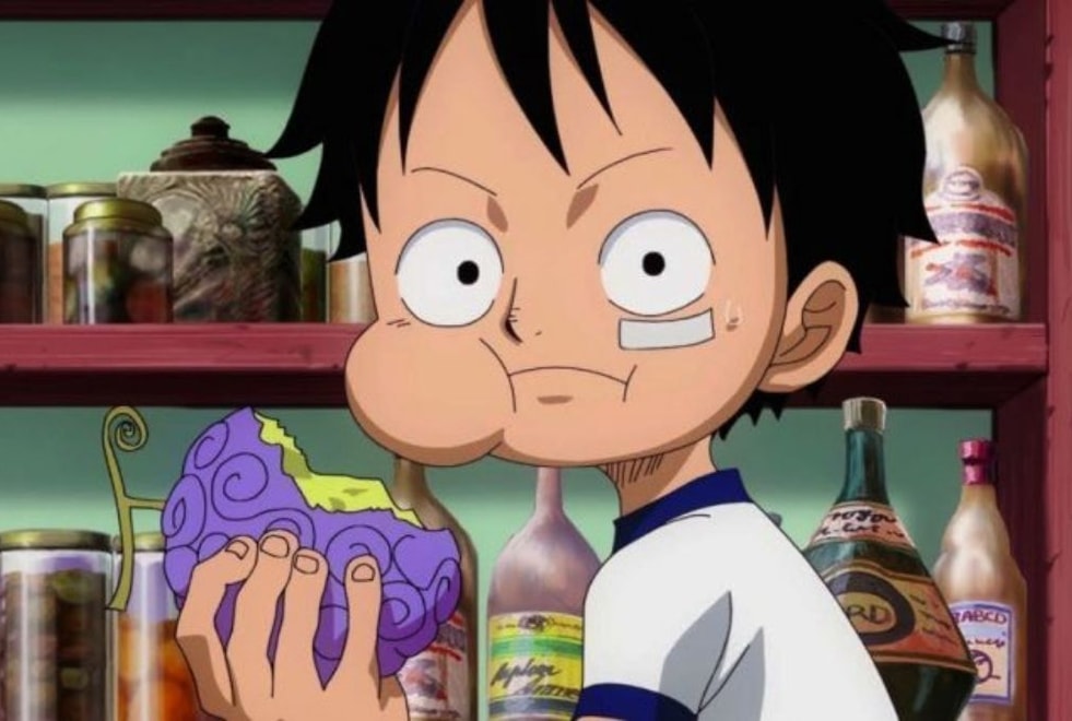 One Piece : que se passe-t-il si un humain mange le Hito Hito no Mi ou fruit de l’Humain ?