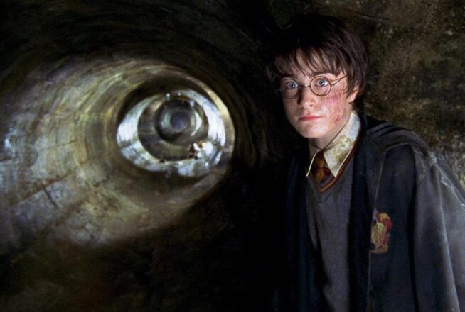 Harry Potter et la Chambre des Secrets : tu es pétrifié si tu n’as pas 10/10 à ce quiz sur le film