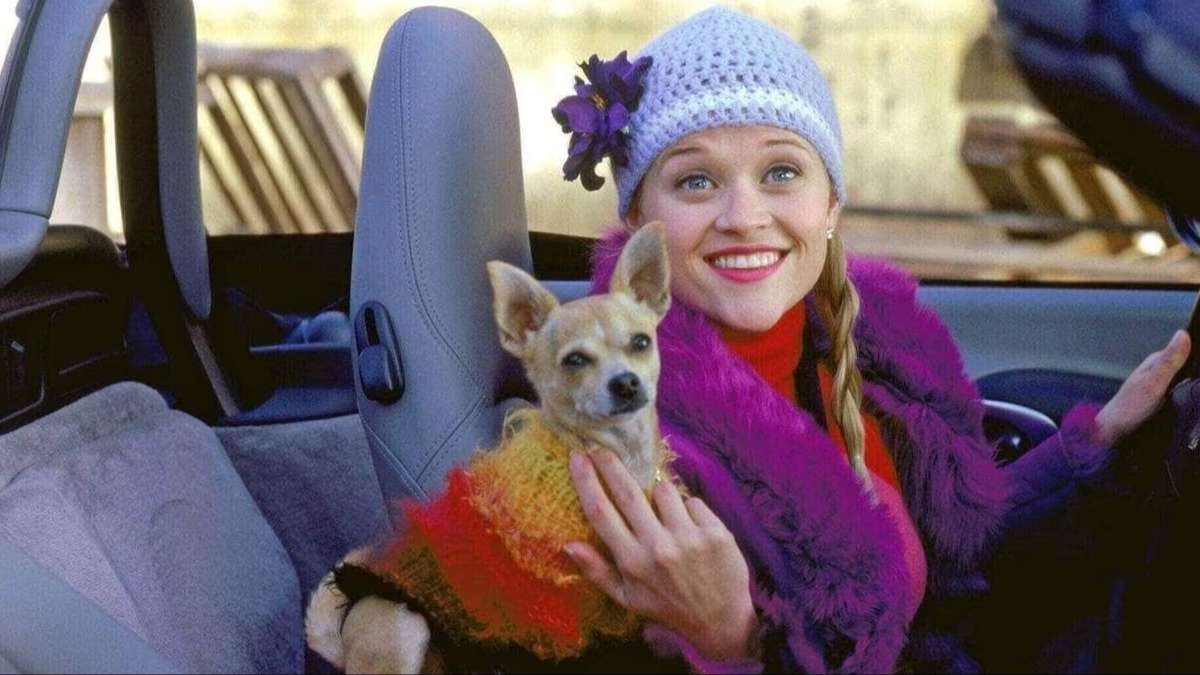 La Revanche d'une blonde : le film culte des années 2000 va être adapté en série