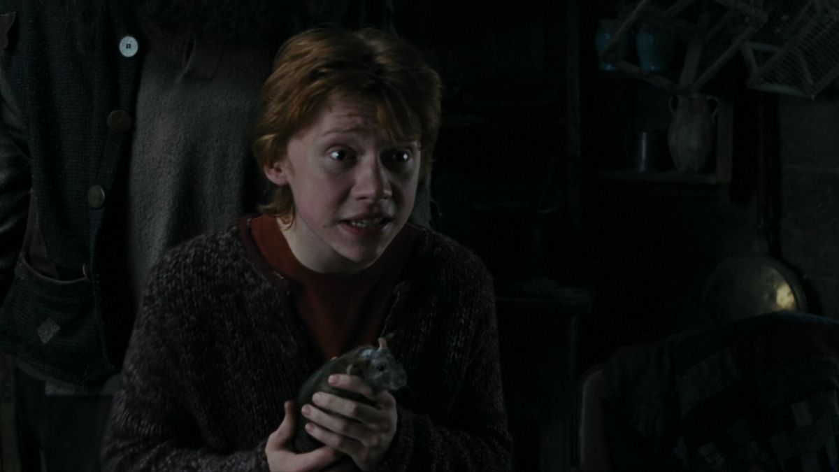 ron-weasley-et-croutard