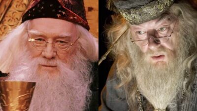 Harry Potter : pourquoi Dumbledore a-t-il changé d'interprète dans le troisième film ?