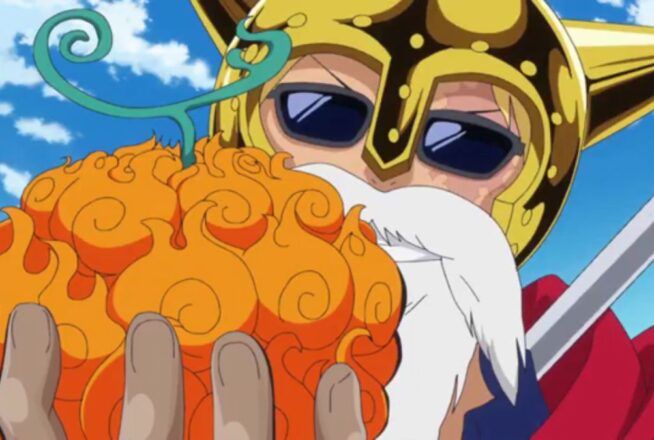 Quiz One Piece : seul le roi des pirates saura retrouver ces 10 personnages grâce à leur fruit du démon