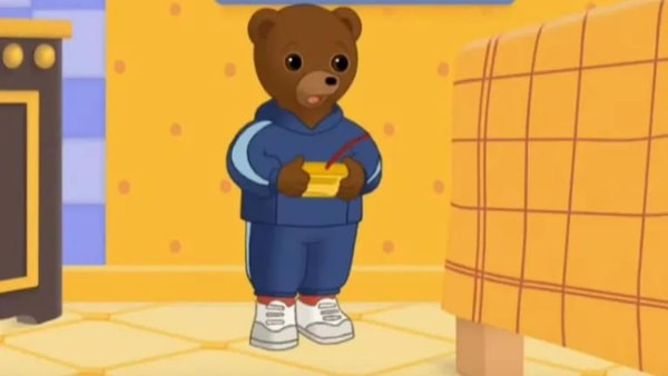 quiz pied petit ours brun