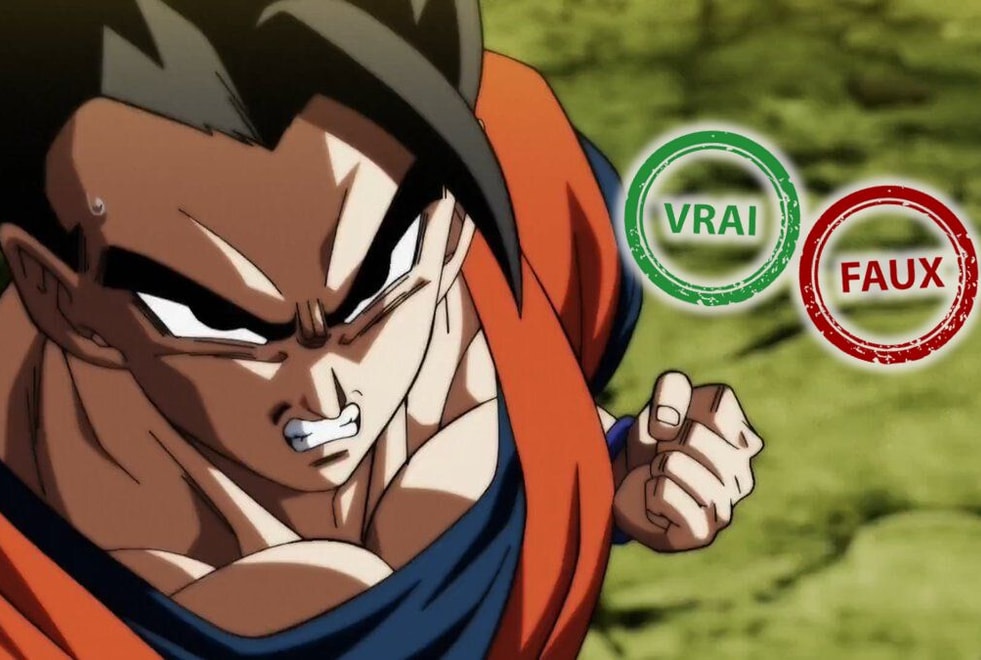 Tu es de la génération Dragon Ball si tu as 10/10 à ce quiz vrai ou faux sur Gohan