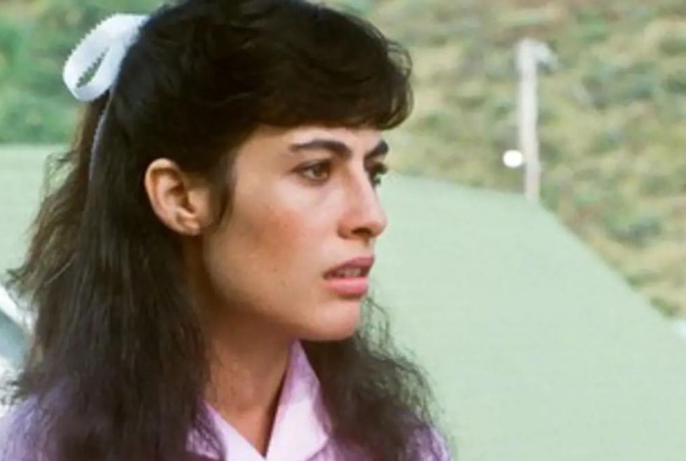 Dirty Dancing : à quoi ressemble Lisa, la soeur de Bébé aujourd’hui ?