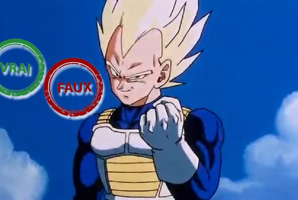 Dragon Ball : tu deviens un Super Saiyan si tu as 10/10 à ce quiz vrai ou faux sur Vegeta