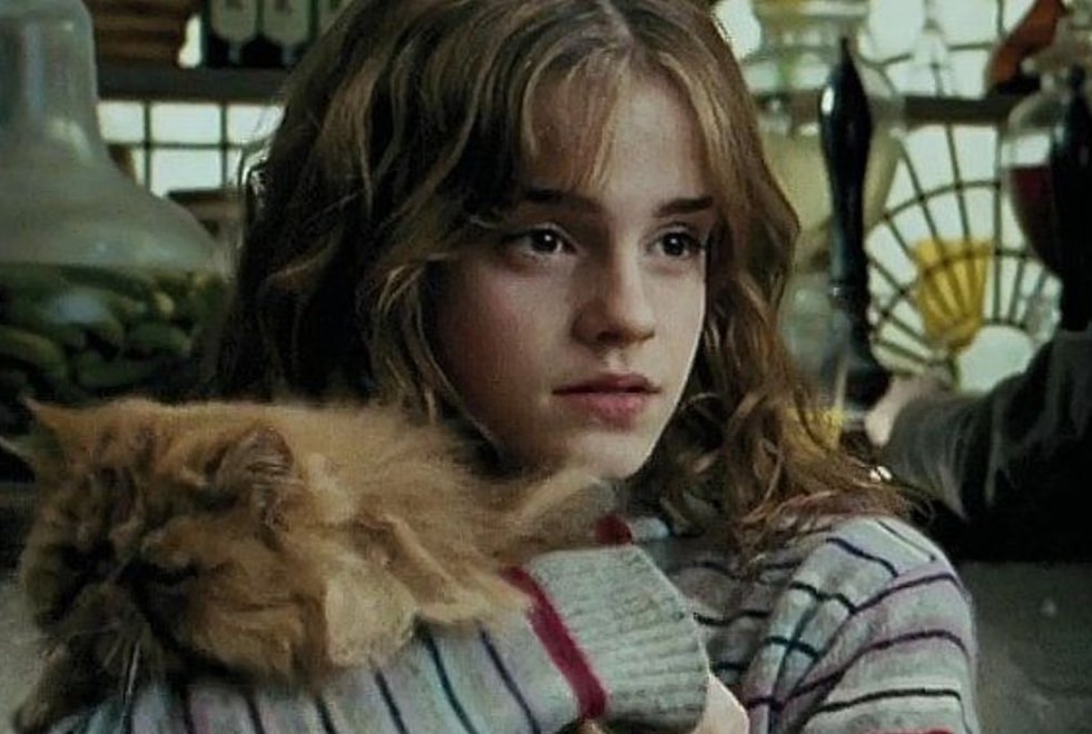 Harry Potter : t’es accepté à Poudlard si tu as 5/5 à ce quiz sur Hermione