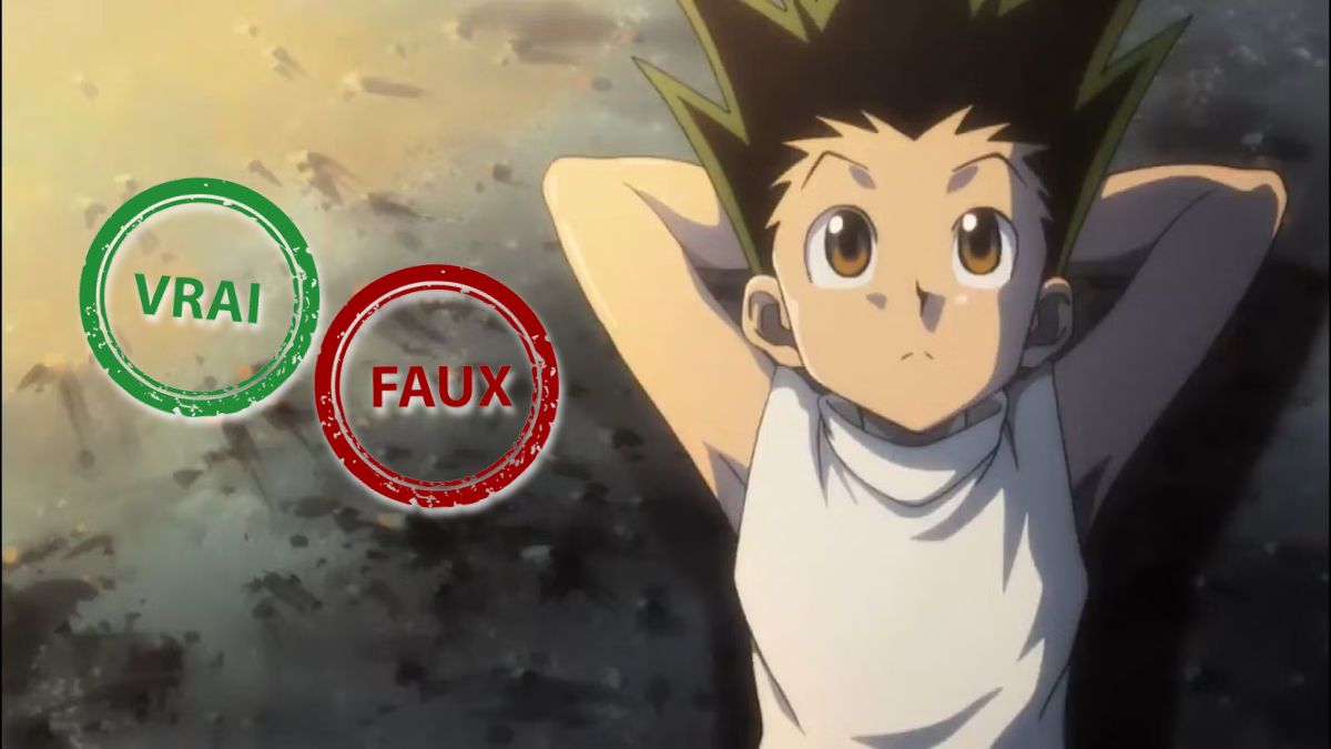 T'es un expert Hunter x Hunter si tu as 10/10 à ce quiz vrai faux sur Gon