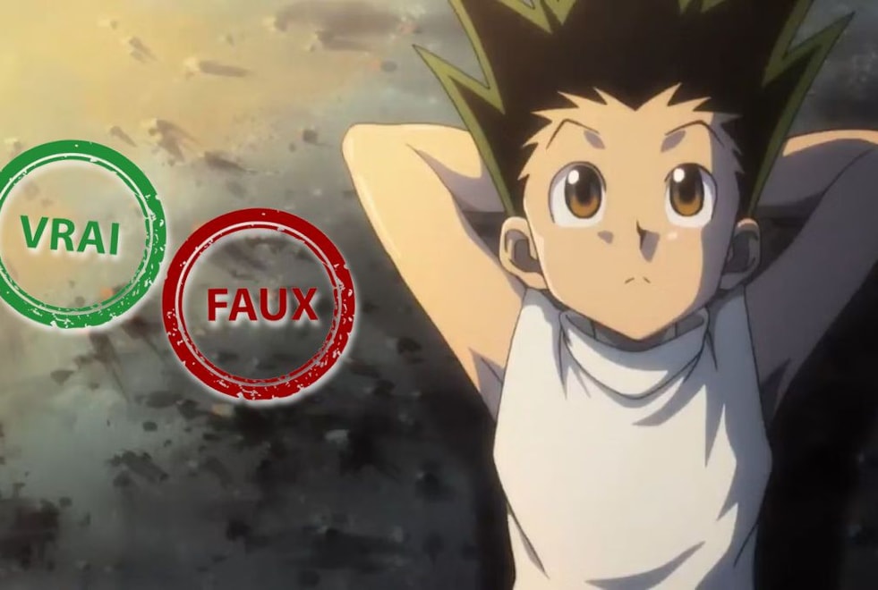 T’es un expert Hunter x Hunter si tu as 10/10 à ce quiz vrai faux sur Gon