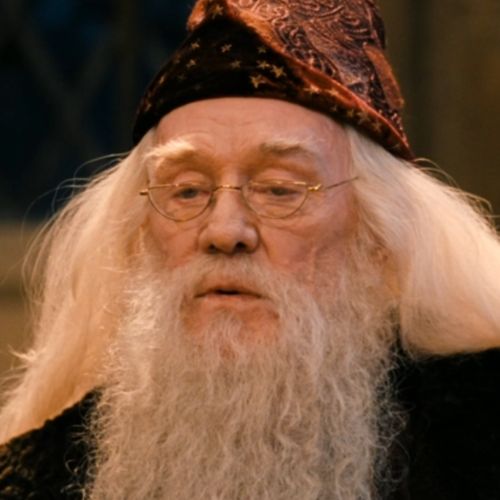 dumbledore-galerie