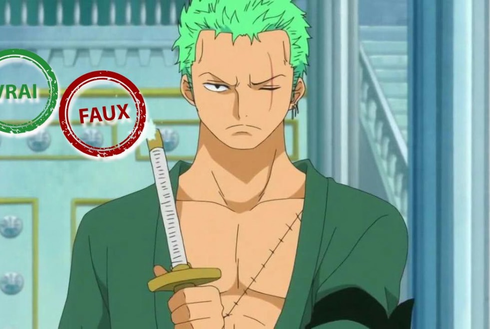 T’es de la génération One Piece si tu as 10/10 à ce quiz vrai ou faux sur Zoro