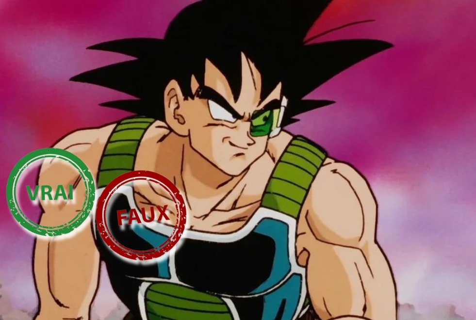 T’es de la génération Dragon Ball si tu as 10/10 à ce quiz vrai ou faux sur Bardock