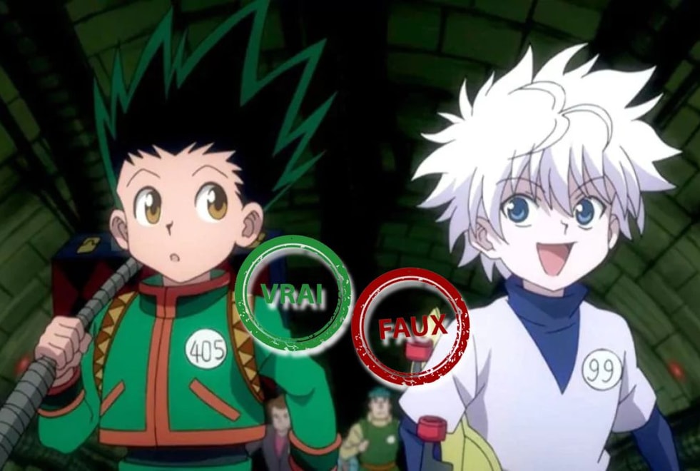 Hunter x Hunter : tu deviens un Hunter si tu as 10/10 à ce quiz vrai ou faux sur l’anime