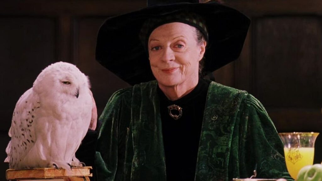 Professeure McGonagall dans Harry Potter à l'école des sorciers