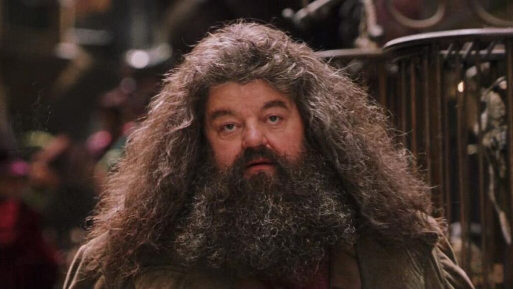 Rubeus Hagrid dans Harry Potter à l'école des sorciers