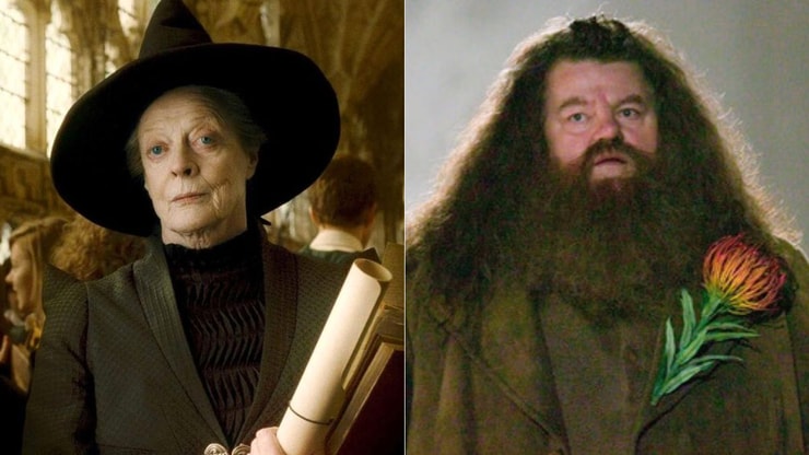 Harry Potter la série : on sait qui pourrait jouer Hagrid et McGonagall... et il y a des surprises !