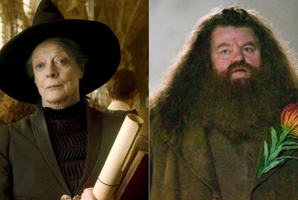 Harry Potter la série : on sait qui pourrait jouer Hagrid et McGonagall… et il y a des surprises !