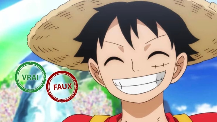 One Piece : tu deviens le roi des pirates si tu as 10/10 à ce quiz vrai ou faux sur Luffy