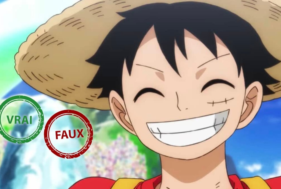 One Piece : tu deviens le roi des pirates si tu as 10/10 à ce quiz vrai ou faux sur Luffy