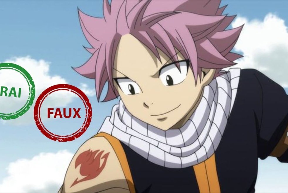 Tu as grandi avec Fairy Tail si tu as 10/10 à ce quiz vrai ou faux sur Natsu
