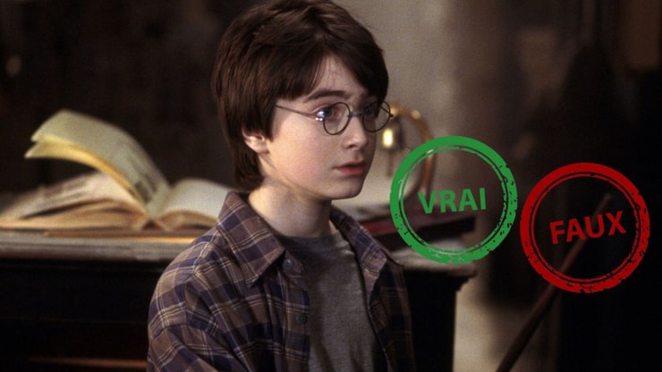 T'es un moldu si t'as pas 15/15 à ce quiz vrai ou faux sur Harry Potter à l'école des Sorciers