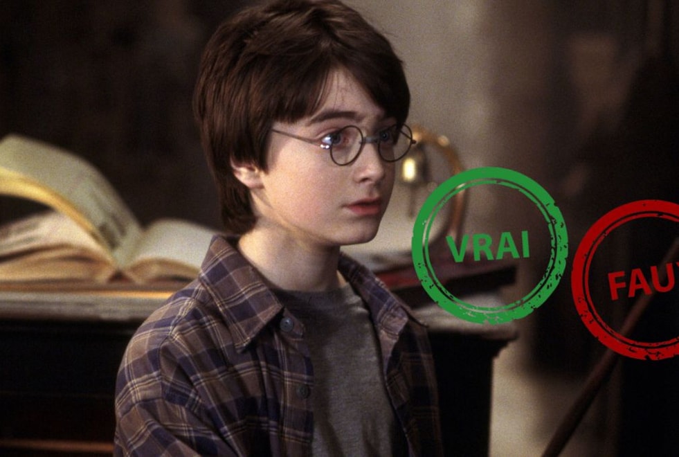 T’es un moldu si t’as pas 15/15 à ce quiz vrai ou faux sur Harry Potter à l’école des Sorciers