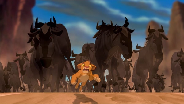 simba-attaque-gnoux-le-roi-lion