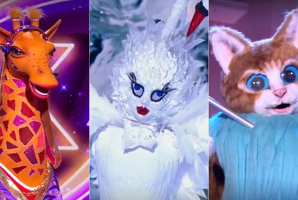 Mask Singer : on a trouvé qui se cache sous les costumes du Cygne, de la Girafe et du Chaton !
