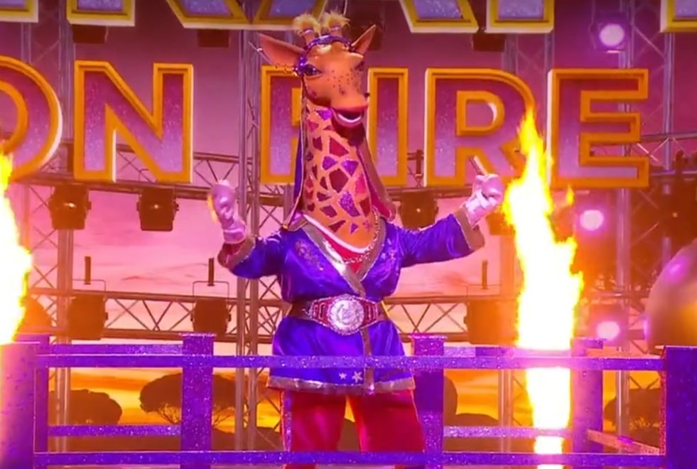 Sondage Mask Singer 2025 : qui aurait dû gagner l’émission à la place de la Girafe ?