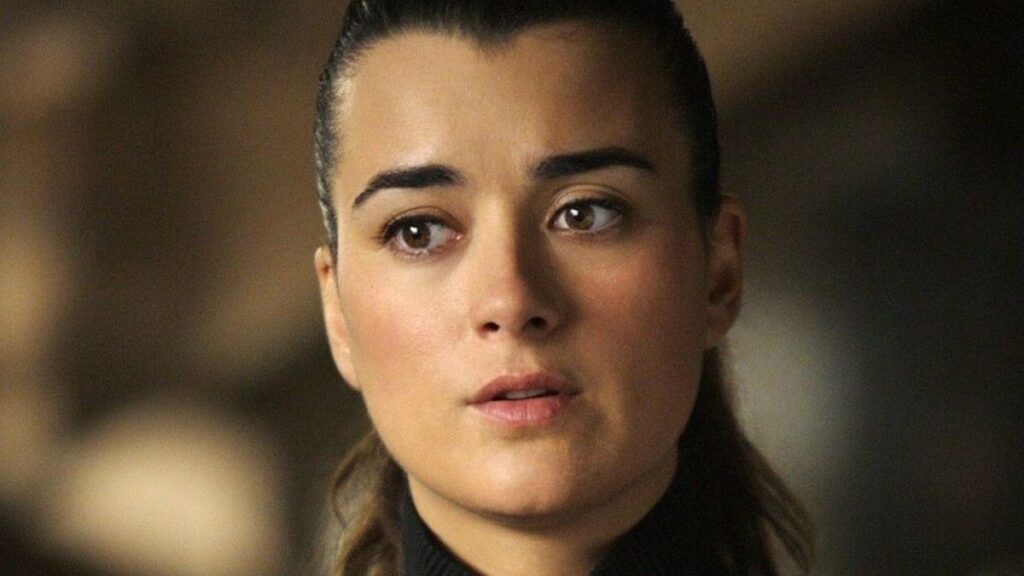Ziva David (Cote de Pablo) dans NCIS : Enquêtes spéciales