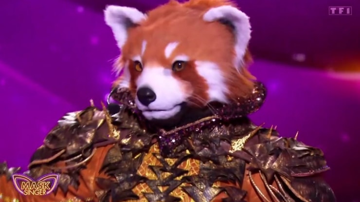 Sondage Mask Singer 2025 : qui se cache derrière le Panda roux ?