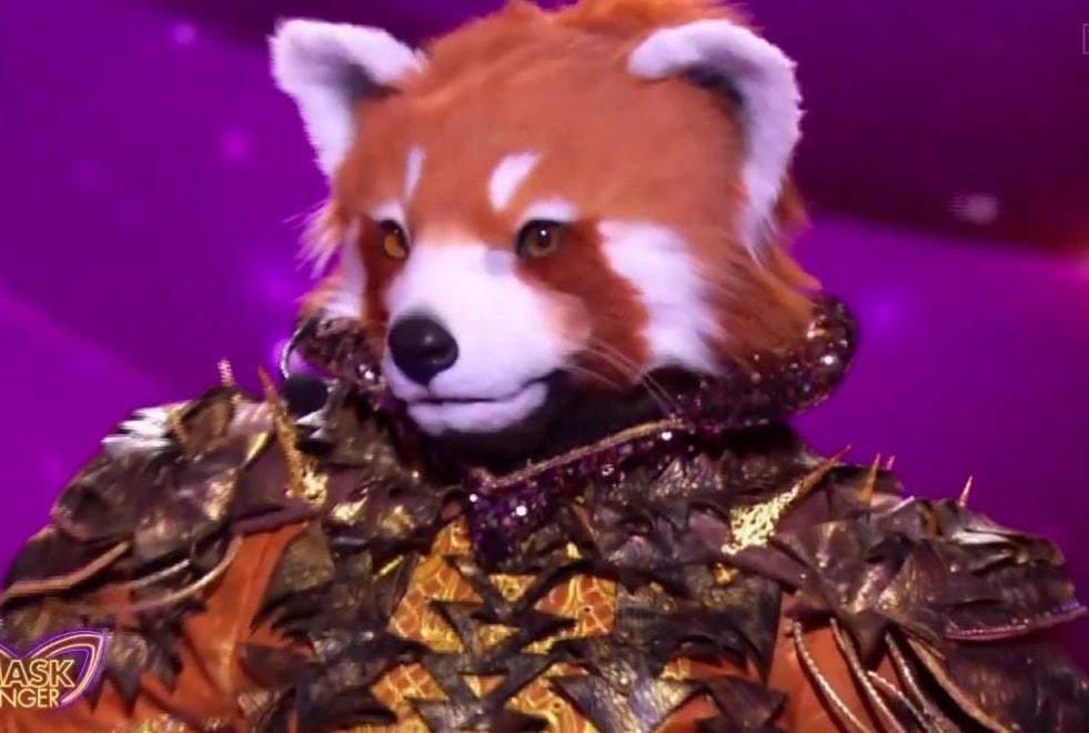 Sondage Mask Singer 2025 : qui se cache derrière le Panda roux ?
