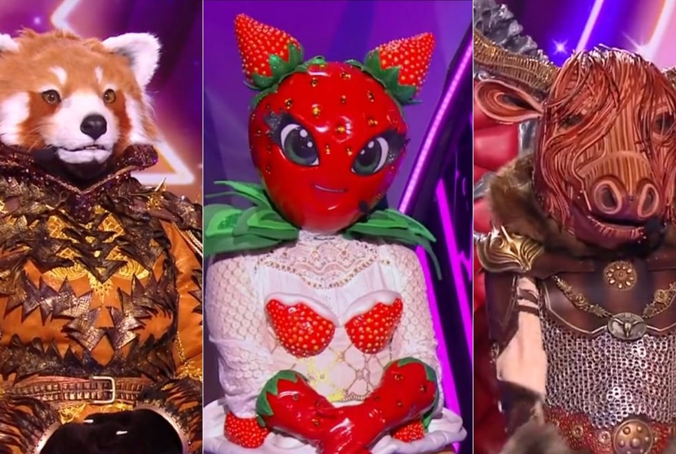 Mask Singer : on a trouvé qui se cache derrière les costumes du Fraisier, du Bison et du Panda Roux !