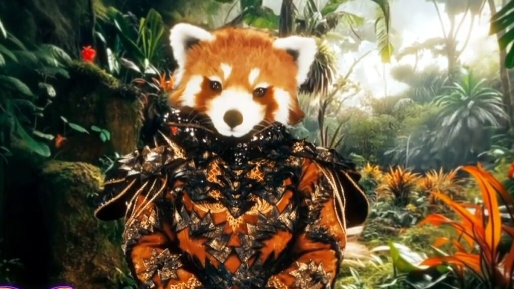 Le panda Roux dans Mask Singer 2025