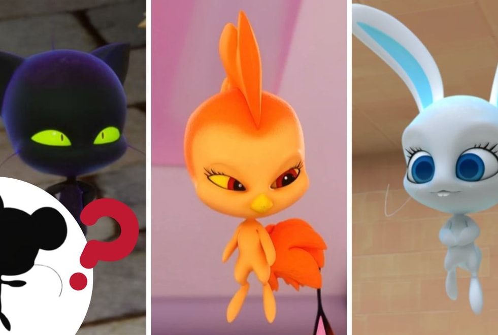 Quiz Miraculous : seul Chat Noir peut reconnaître plus de 7 Kwamis grâce à leur silhouette