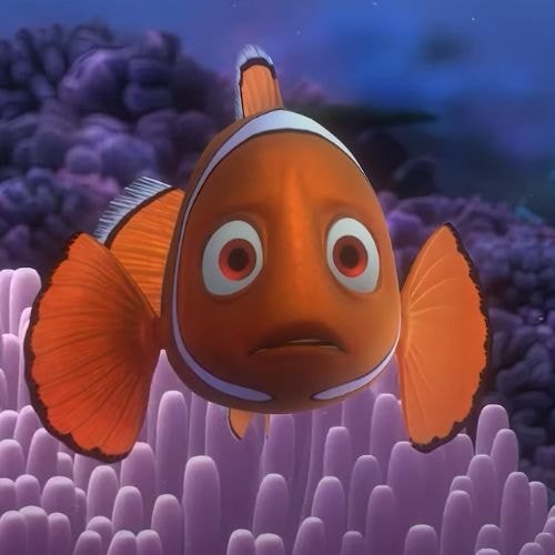 Le monde de Nemo