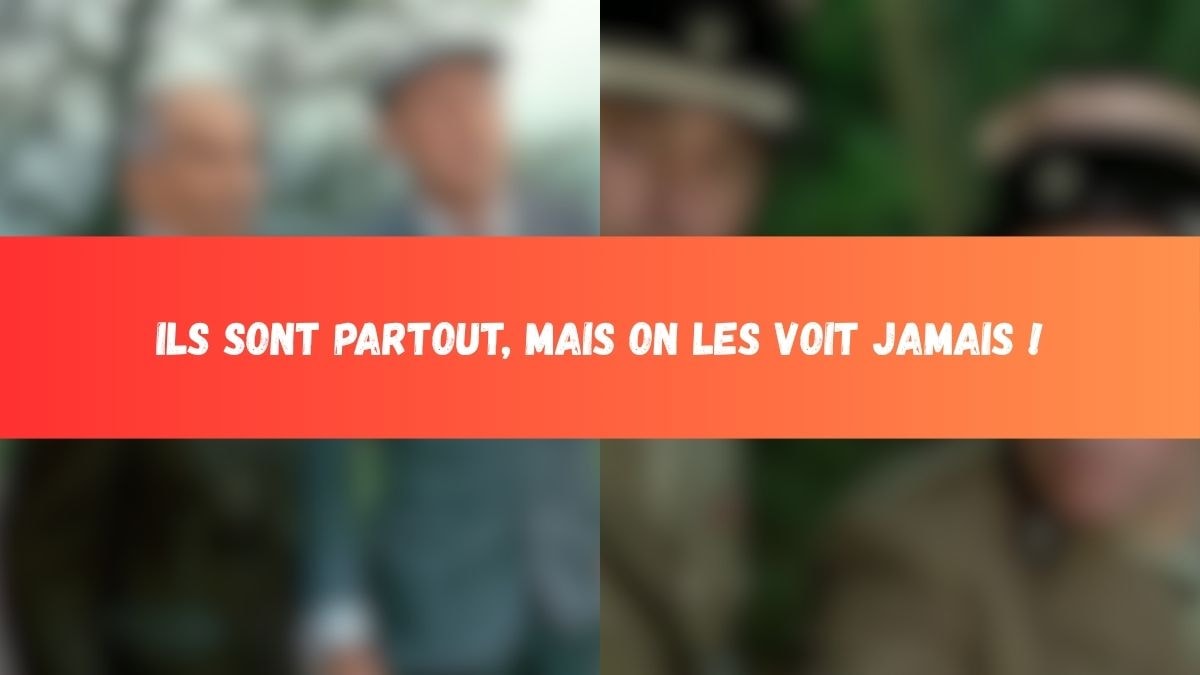 © Canva © Valoria Films © Gaumont International