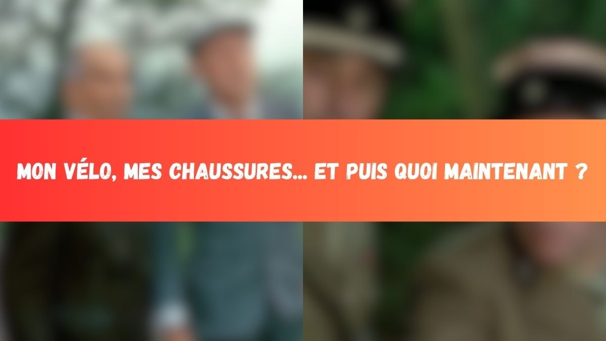 © Canva © Valoria Films © Gaumont International